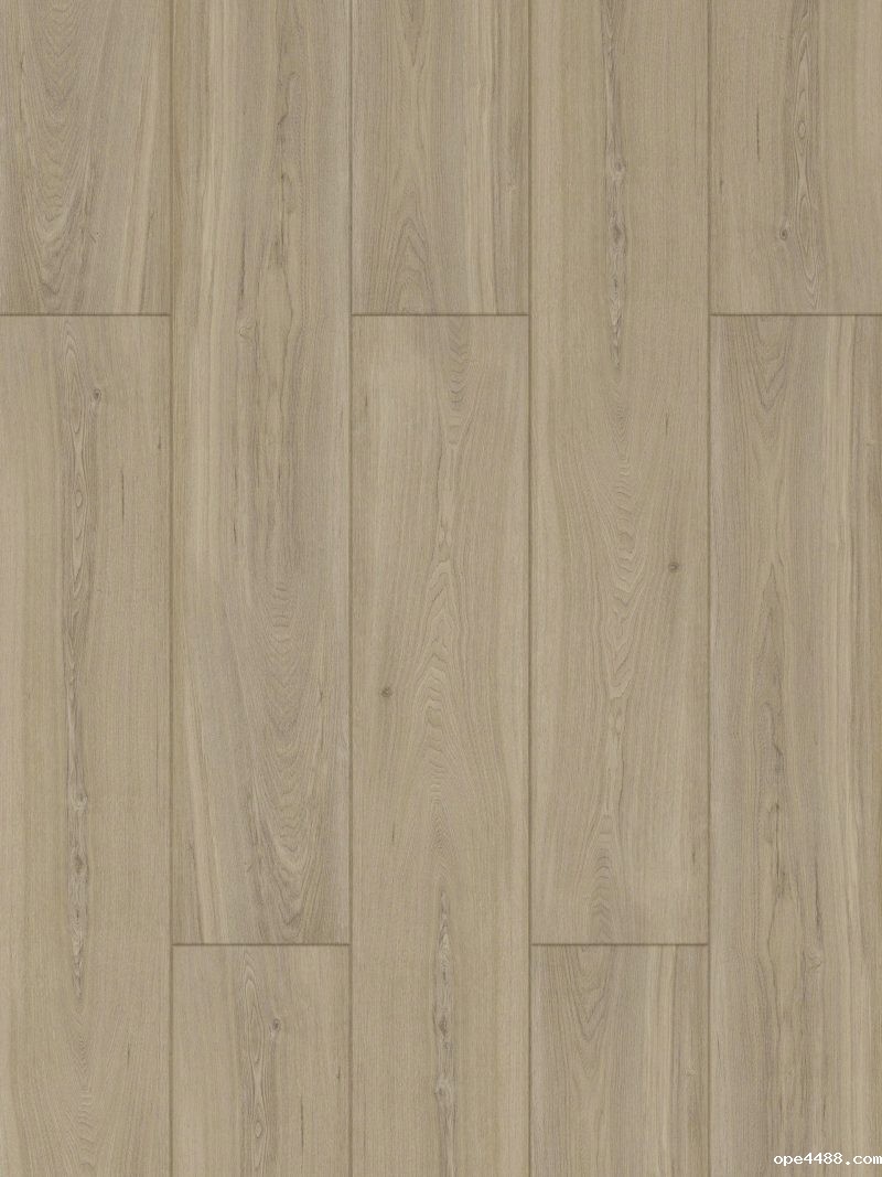 原木风ope3399效果图AB803竞技宝APP最新版